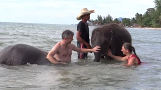 Ко Чанг, пляж Кай Бей. Купание со слониками