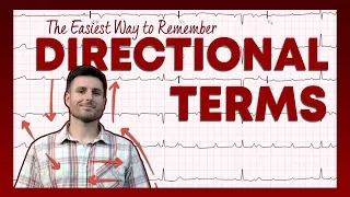 The Easiest Way to Learn Directional Terms - Anatomy Basics | Corporis
