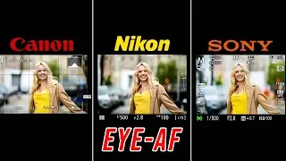 OFFICIAL Nikon Z6 EYE AF Real World Review (VS Sony & Canon) | NOT What I Expected!