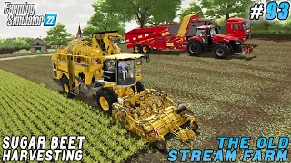 Farming Life: Livestock Work and Sugar Beet Harvesting | The Old Stream Farm | FS 22 | Timelapse #93