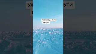 На северный полюс на машине 🥶🤯🤯