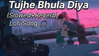 Tujhe Bhula Diya (Slowed+Reverb) Lofi Song Mohit Chauhan Vishal Shekhar