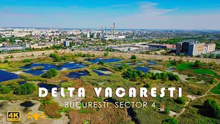 Flight over Vacaresti Natural Park | District 4, Bucharest