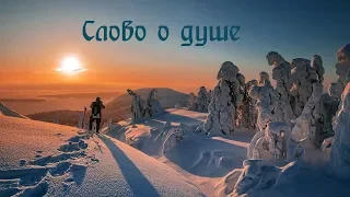 Архимандрит Амвросий (Юрасов) - Слово о душе