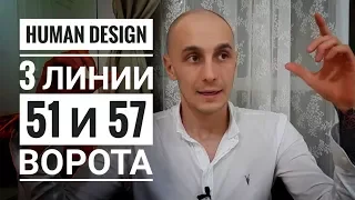 Дизайн Человека 51.3 и 57.3 ворота. Обзор транзитов. Даниил Трофимов. Human Design