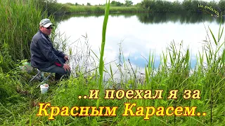 ..и поехал с поплавком я за красным карасем..#каналнарыбалку#карась#поплавок