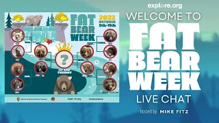 Welcome to Fat Bear Week 2022! | Brooks Live Chat