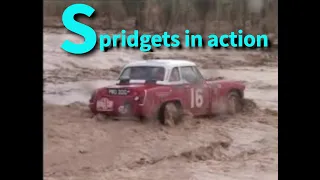 Spridgets in action