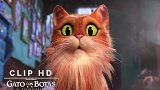 Los osos encuentran al Gato | El Gato con Botas: El último deseo | Clip 4K