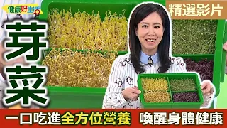 【健康好生活 超精彩回顧】一口吃進「全方位營養」 小小「芽菜」喚醒身體健康！/// 越南芽菜卷  芽菜燻鮭魚捲  芽菜薄餅  芽菜番茄排骨湯