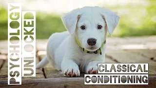 Pavlov's Dogs and How People Learn | Classical Conditioning | Behavioural Psychology