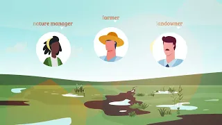 The Care-Peat Decision Support Tool