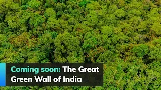 Coming soon: The Great Green Wall of India