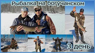 Ловим щуку на богучанском водохранилище Рыбалка удалась!!! день 3