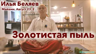 Илья Беляев ✨ Золотистая пыль (Майами. Август 23_2)