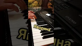 Степан Гіга "Яворина"(1) Casio CT X-700