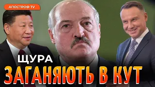 РЕЖИМ ЛУКАШЕНКО ЗАГАНЯЮТЬ: масові посадки, закриття кордонів, економіка без грошей