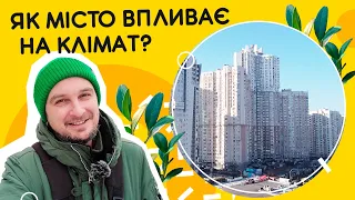 Чому в Києві взимку холодно, а влітку спекотно? 💨 Як місто впливає на мікроклімат?