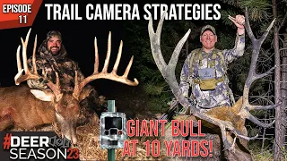 Deploying Summer Trail Cameras, A GIANT Kansas Whitetail, And A Screaming Bull Elk At 10 YARDS!