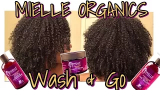 First Impressions Wash & Go + Review | The NEW Mielle Organics Pomegranate and Honey Collection