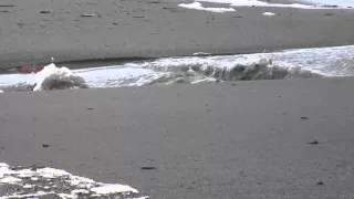 Russian River 12-12-15. Mouth of the river breaching