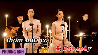 [KARAOKE] Bông Cỏ May - Phương Anh & Phương Ý (Beat Gốc)