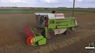 ☆Żniwa 2020 😏🔥Jęczmień ozimy ☆Wielkopolska☆ Claas Dominator 86☆