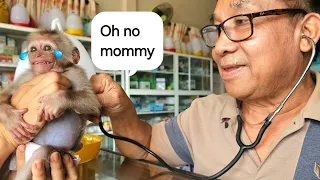 Baby monkey is nervous when going to the veterinary hospital |  Take care of sick baby monkeys