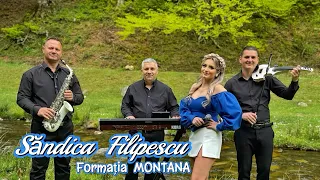 @SandicaFilipescu si Formatia Montana - Pentru doi ochi verzi ca iarba | Colaj Hore | cover 2024