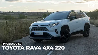 Toyota RAV4 Hybrid 4x4 220, el "coche" más vendido de Estados Unidos [PRUEBA - #POWERART] S06-E35