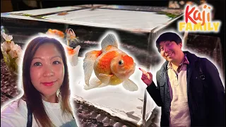 We visit a Real life Fish Aquarium In Japan