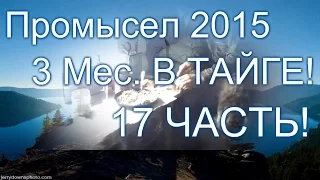 17 Часть . Промысел в тайге 2015! Охота на соболя.