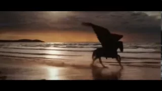 Pegasus - King of Horses