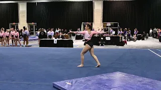 Tori Hess | 2024 DP National Floor | 9.675 (6th), AA 38.225 (5th)