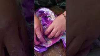 🔮🔮Giant purple clams breed high-quality purple pearls