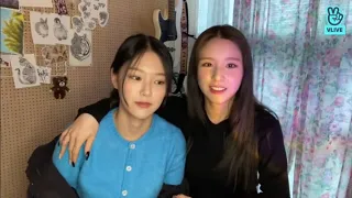 Loona cute moments together