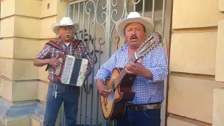 el chubasco sol norteño