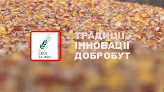 З Днем водія від Grain Alliance - Баришівської зернової компанії