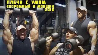 Плечи с умом / СКОРОМНЫЙ, МОКШИН 2018