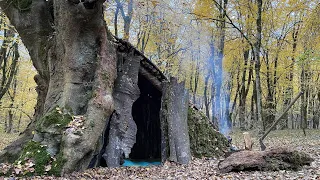 Building Complete And Warm Bushcraft Survival Shelter Attached To Trunk & Outdoor cooking, Fireplace