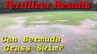 Bermuda Grass Soccer Field Fertilizer Results - Underwater Lawn - Before and After  Underwater Lawn