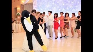 PENGUINE DANCE ALBANIA. Dansul pinguinuluiPinguinul Joe