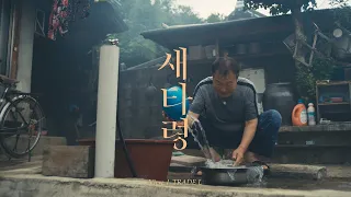 Feel the Rhythm of Korea - Suncheon