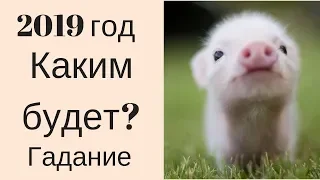 Китайский Новый год 5 февраля 2019. Прогноз: Каким будет год? Гадание онлайн на картах