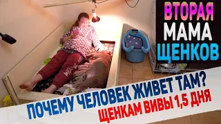 Почему мы не отходим от собаки ни на шаг?