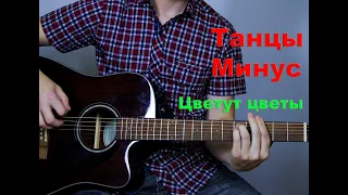 Танцы Минус - Цветут цветы ( cover by Станислав Зайцев )