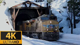 [4K] Donner Pass February Snow Trains with CSX, NS, BNSF, UP, hornshows, smokesshows, and more!