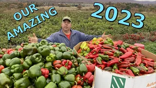 A VEGETABLE FARMERS ENTIRE 2023 FROM PLANTING TO HARVEST