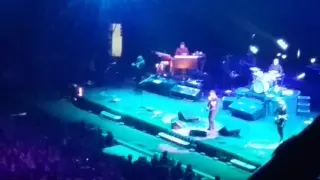 Bruce Springsteen live @ Bercy - 11-7-16 - The river