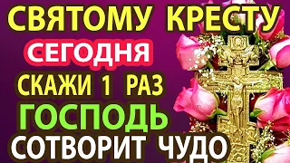 СКАЖИ МОЛИТВУ КРЕСТУ ЖИВОТВОРЯЩЕМУ! Господь сотворит Чудо! Сильная молитва о здоровье